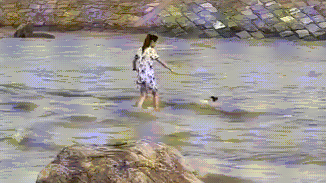 222.gif