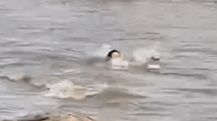 333.gif