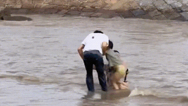 555.gif